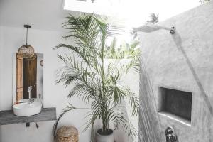 a bathroom with a potted plant and a sink at 7BD Surf House in Ahangama