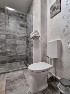 uma casa de banho com um WC e um chuveiro em RA Apartment - Ared em Oradea