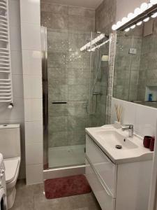 uma casa de banho com um chuveiro, um lavatório e um WC. em Apartament blisko centrum Warszawy em Varsóvia