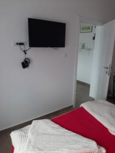 TV a/nebo společenská místnost v ubytování Apartman Jass
