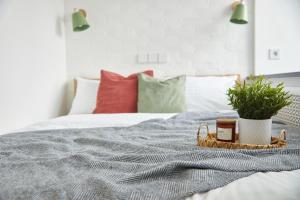 ein Bett mit einer Decke und einem Korb mit einer Pflanze darauf in der Unterkunft Розкішні апартаменти - парк Олександрія, кава, чай, wifi in Bila Zerkwa