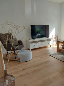TV a/nebo společenská místnost v ubytování Hyggelige und zentrale Eigentumswohnung