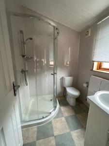 a bathroom with a shower and a toilet at Getaway Lodge in Ilfracombe