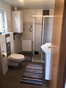 een kleine badkamer met een toilet en een wastafel bij Ferienhaus Ostfriesland in Berumbur