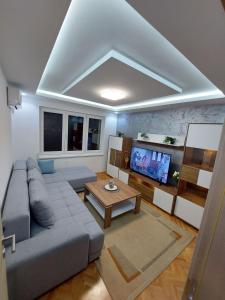 - un salon avec un canapé et une télévision dans l'établissement Matej LUX Apartment, à Skopje