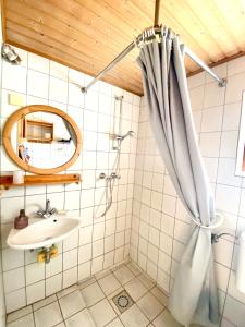 a bathroom with a sink and a shower curtain at Ferienwohnung Peters in Trebel
