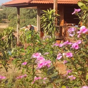 Banlung的住宿－Happy bungalow & trekking，一只狗站在一座粉红色花的房屋内
