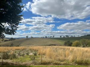 a grassy field with trees on top of a hill at Wattle Cottage in Mandurama