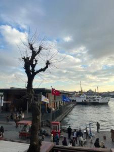 伊斯坦堡的住宿－A Beachfront, Peninsula View Apartment in Karaköy，一群人站在码头上,坐船