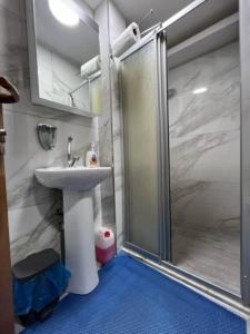 a bathroom with a shower and a sink at A Beachfront, Peninsula View Apartment in Karaköy in Istanbul