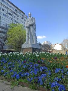 Milash في Karaburma: تمثال رجل في حديقة فيها ورد