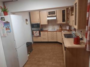 a kitchen with a white refrigerator and wooden cabinets at Ubytování u MVE in Ludvíkov