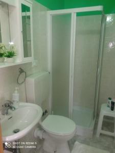 La salle de bains est pourvue d'une douche, de toilettes et d'un lavabo. dans l'établissement Il Sentiero Bed & Breakfast, à Vicalvi