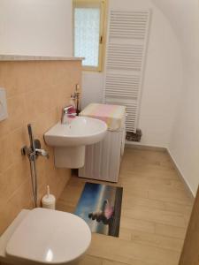 een kleine badkamer met een wastafel en een toilet bij Verde di Valda in Valda