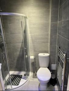a small bathroom with a toilet and a shower at Modern flat in Maidstone in Kent
