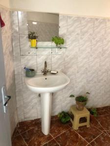a white sink in a bathroom with plants at Asala Guest House in Taghazout