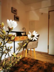 Fotografie z fotogalerie ubytování Haselnuss v destinaci Ilsenburg