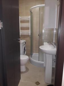 a bathroom with a toilet and a sink and a shower at AhmashenebeliApart in Tbilisi City