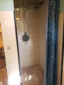 a shower with a blue shower curtain in a bathroom at La maisonnette 301 in Saint-Ouen-en-Belin