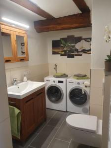 ein Badezimmer mit einem Waschbecken, einer Waschmaschine und einem Trockner in der Unterkunft Fachwerk zum Entspannen, max. 3P in Bad Emstal