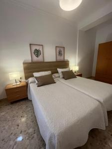 Posteľ alebo postele v izbe v ubytovaní Apartamento Camberos Antequera