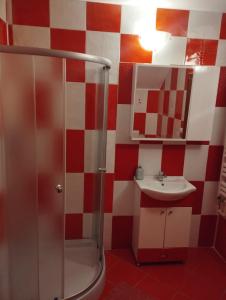un baño con ducha y lavabo en Casa Alex, en Vişeu de Sus