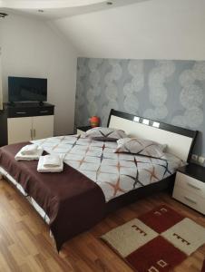 Un dormitorio con una cama grande y un televisor. en Casa Alex, en Vişeu de Sus