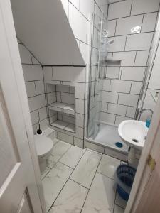 a bathroom with a toilet and a sink and a shower at Richmond House in Great Yarmouth