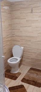 a bathroom with a white toilet in a room at Cazare Pensiunea Ewo in Moraviţa