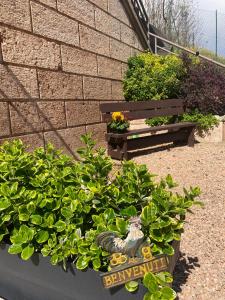 a planter with a chicken on it next to a bench at DA ANNA locazione turistica in Verona