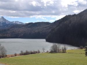 einen Blick auf einen See mit Bergen im Hintergrund in der Unterkunft Holiday home Reichenbach in Bayerstetten