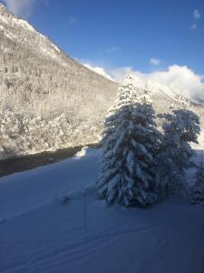 拉萨尔莱阿尔佩T2ideal vue imprenable sur la guisane的山前的雪覆盖的树