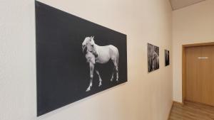 Fotografie z fotogalerie ubytování Kildu külalistemaja v destinaci Kildu