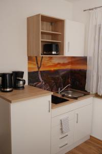 a kitchen with a counter top and a microwave at Pension Am Weinberg Sächsische Schweiz in Mittelndorf