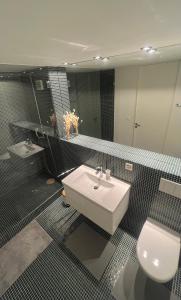 bagno con lavandino, servizi igienici e specchio di Hotel Jäger a Murten