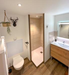 y baño con aseo, lavabo y ducha. en Le repère du Cerf T2 Résidence Royal Milan ST Lary Soulan, en Saint-Lary-Soulan