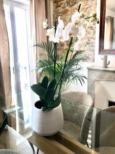 un vase avec des fleurs blanches sur une table en verre dans l'établissement L appartement de Manon, centre historique du vieil Antibes, à Antibes