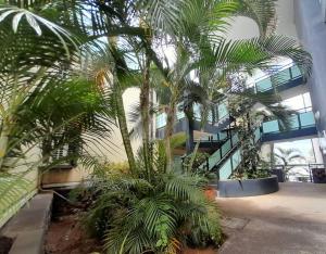 Une bande de palmiers dans un bâtiment dans l'établissement Studio56 - Logement Design et Cosy à Etang Salé, à L'Étang-Salé