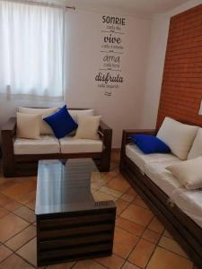 墨西哥城的住宿－El departamento azul，客厅配有两张沙发和一张咖啡桌