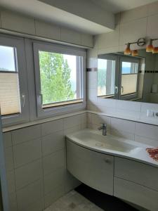 a bathroom with a sink and a mirror at Villa Hubertus in Feldberg