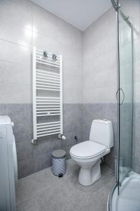 a bathroom with a toilet and a shower at Apartment Dafni in Sandanski