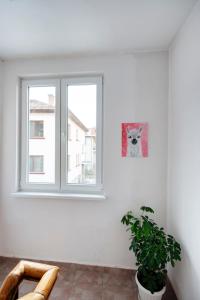 Kép DevIn Coworking & Coliving szállásáról Devinben a galériában