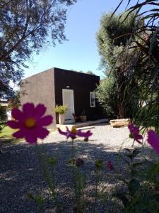 una casa con flores púrpuras delante de ella en Villa- Alba en Carpintería
