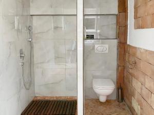 Een badkamer bij Zdravkovac Country Club