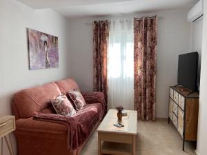 a living room with a brown couch and a tv at Estudios Costavigía Mazagón by Ramona in Mazagón