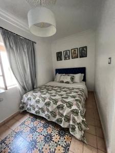 una camera da letto con un letto con una coperta e una finestra di appartement Lalla ghita essaouira a Essaouira