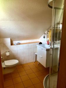 a small bathroom with a toilet and a sink at Kappes-Koppelkamm in Zeltingen-Rachtig