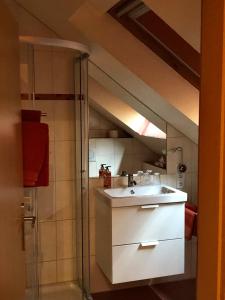 a bathroom with a sink and a shower at Kappes-Koppelkamm in Zeltingen-Rachtig