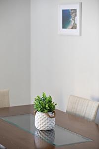 een potplant op een glazen tafel bij Matina's apartment in Póros