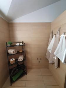 a bathroom with a shower with towels and a towel rack at B&B Casa Sara in Cassano dʼAdda